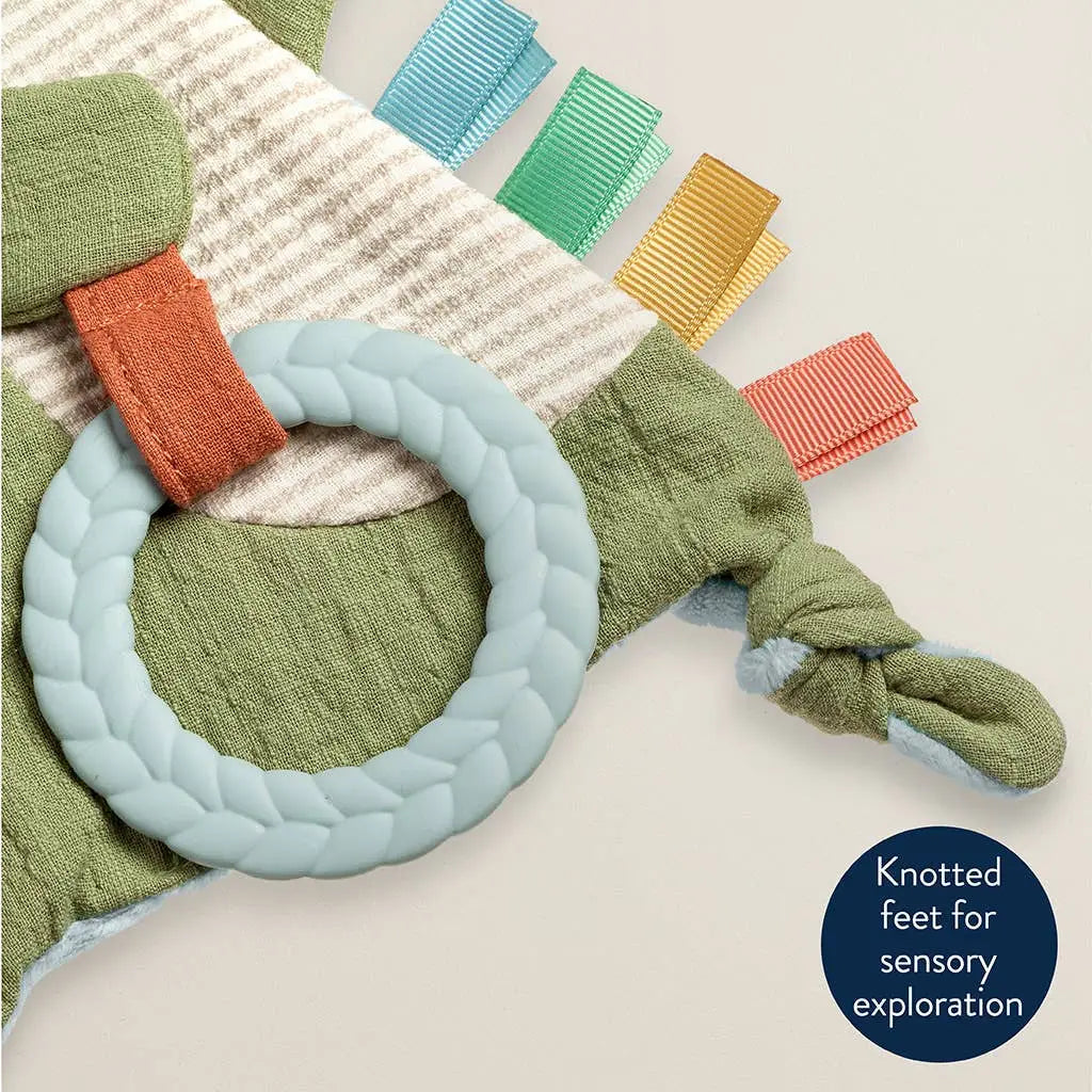 Itzy Ritzy Bitzy Crinkle Senosry Toy with Teether || Dino