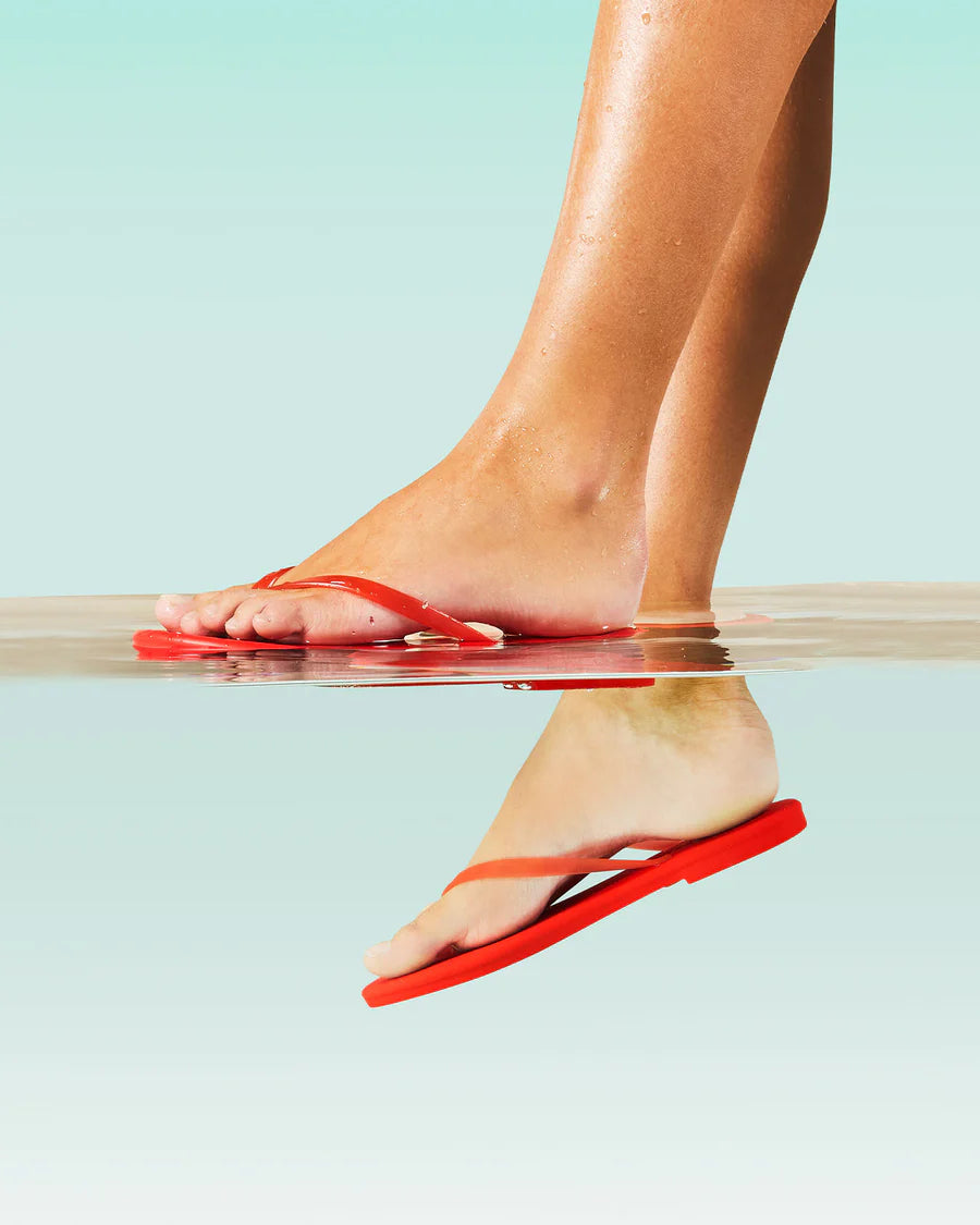 TKEES Aqua || Red