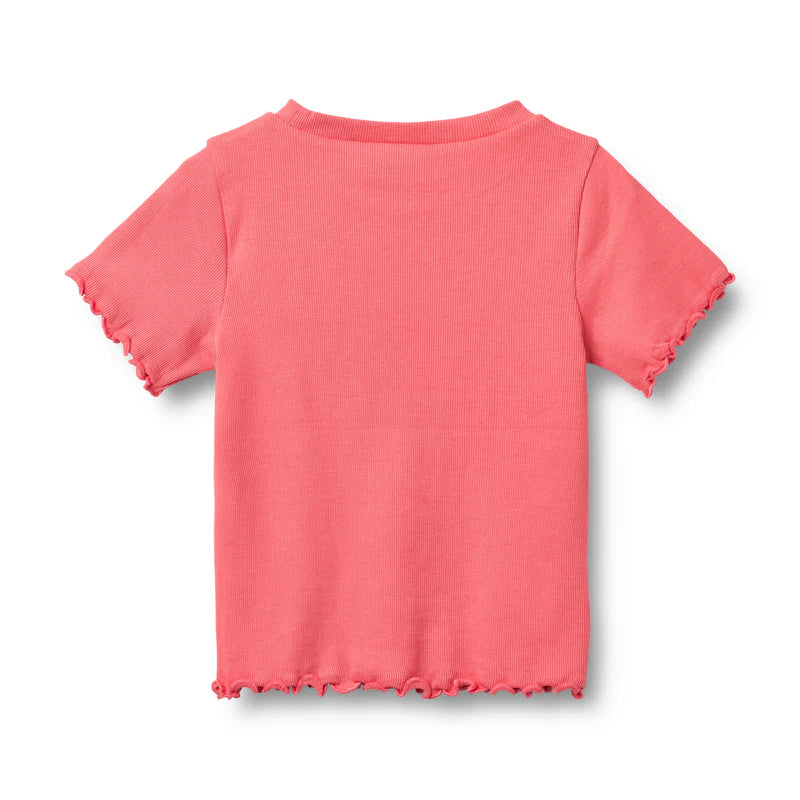 Wheat Kids Rib T-shirt || Watermelon