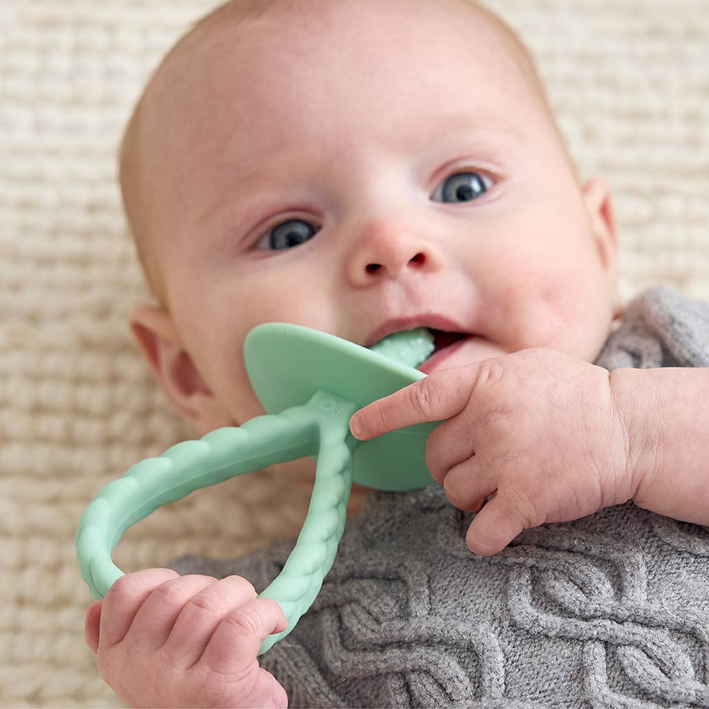 Itzy Ritzy Pre-Feeding Teether Set
