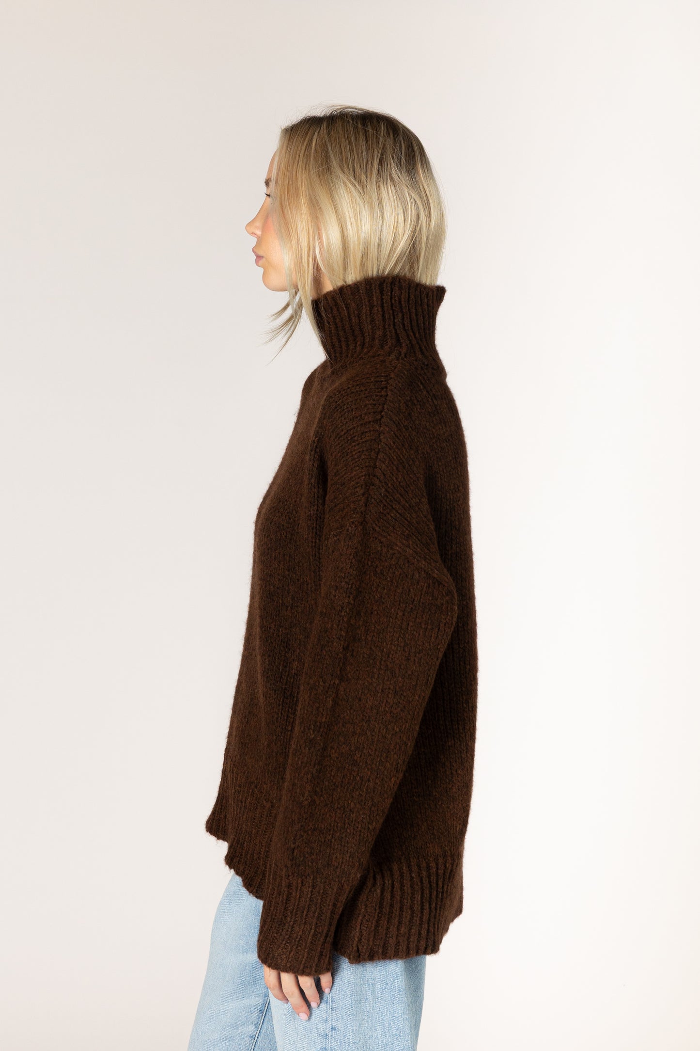 LYLA + LUXE Must Have Mock Sweater || Cocoa