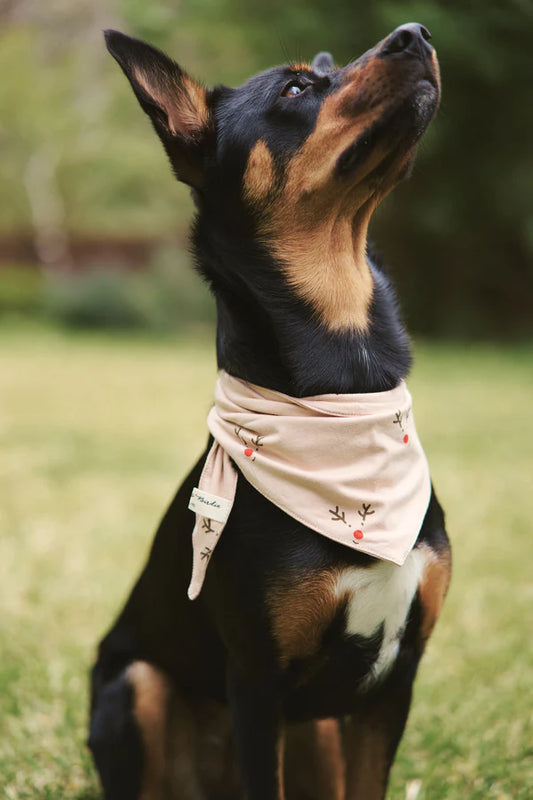 Bambi & Birdie Pet Bandana || Reindeer