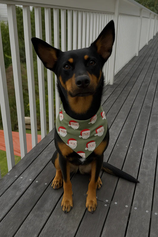 Bambi & Birdie Pet Bandana || Santa