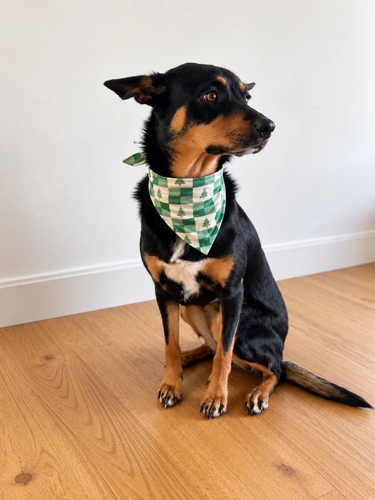 Bambi & Birdie Pet Bandana || Evergreen Check