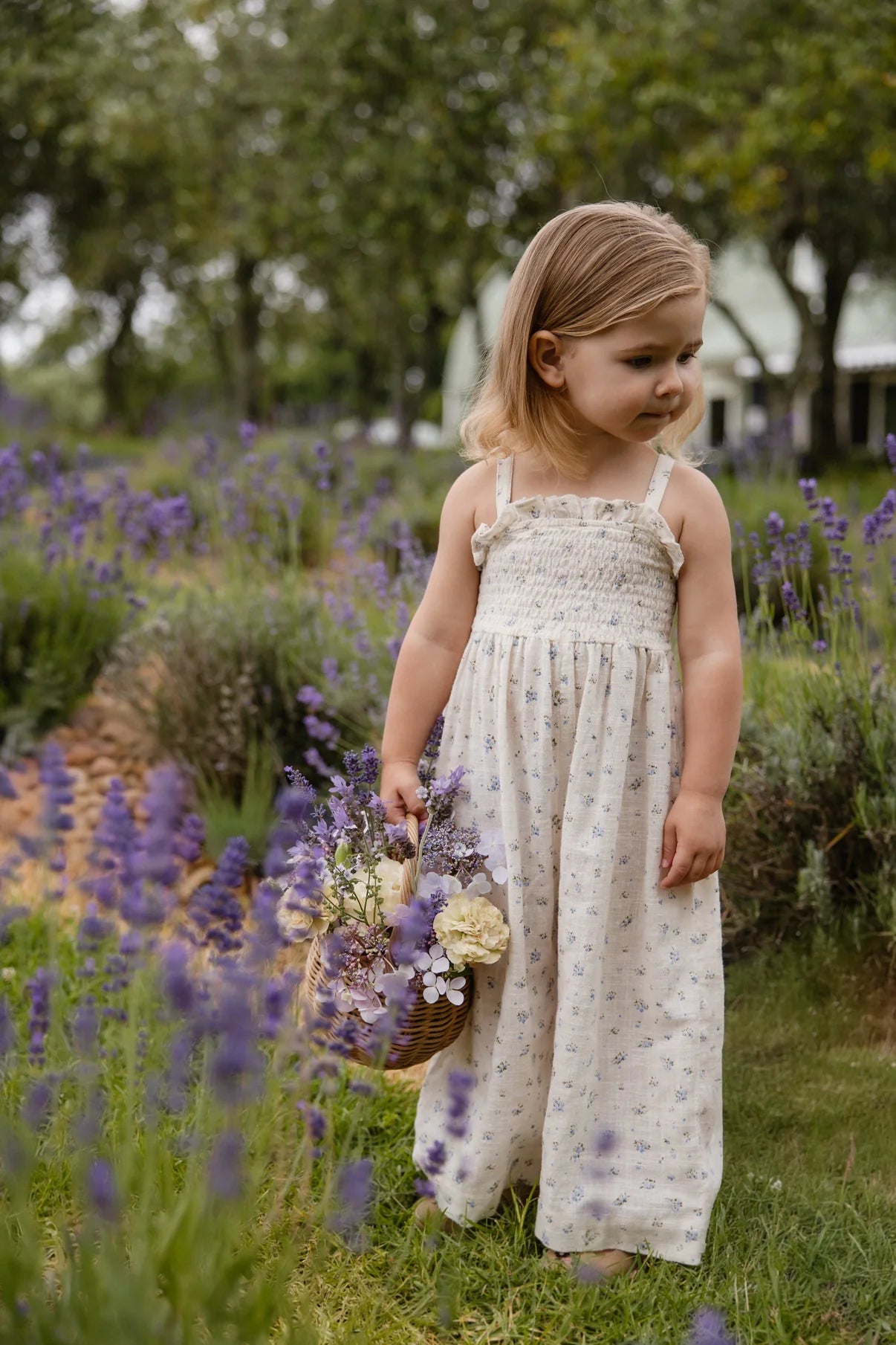 Jamie Kay Organic Cotton Arabella Jumpsuit|| Juniper Fields Blue