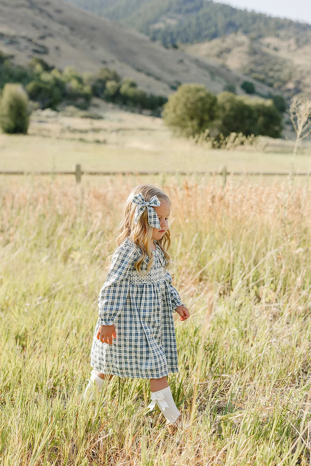 Mebie Baby Blue Plaid Ruffle Collar Dress