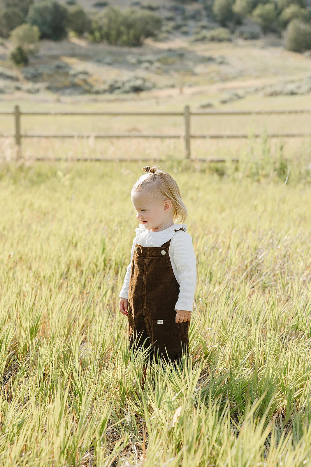 Mebie Baby Brown Corduroy Dress