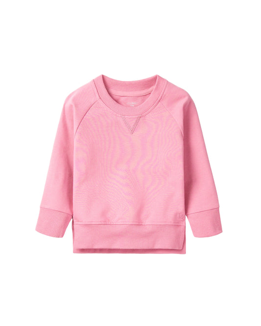 Little Bipsy Pullover || Rose