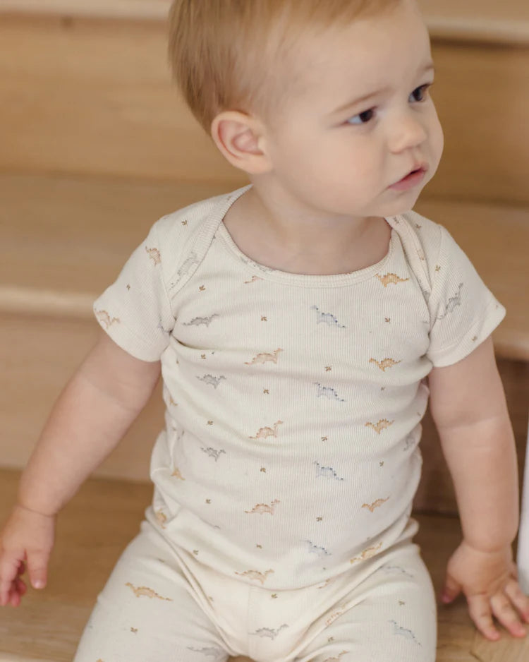 Quincy Mae Ribbed Short Sleeve Tee + Legging Set || Dino