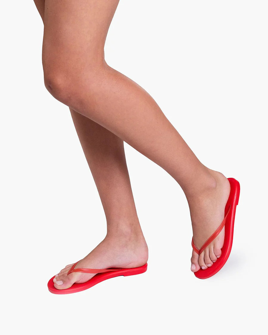 TKEES Aqua || Red