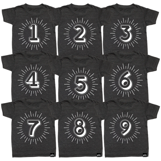 Whistle & Flute Milestone Number T-Shirt