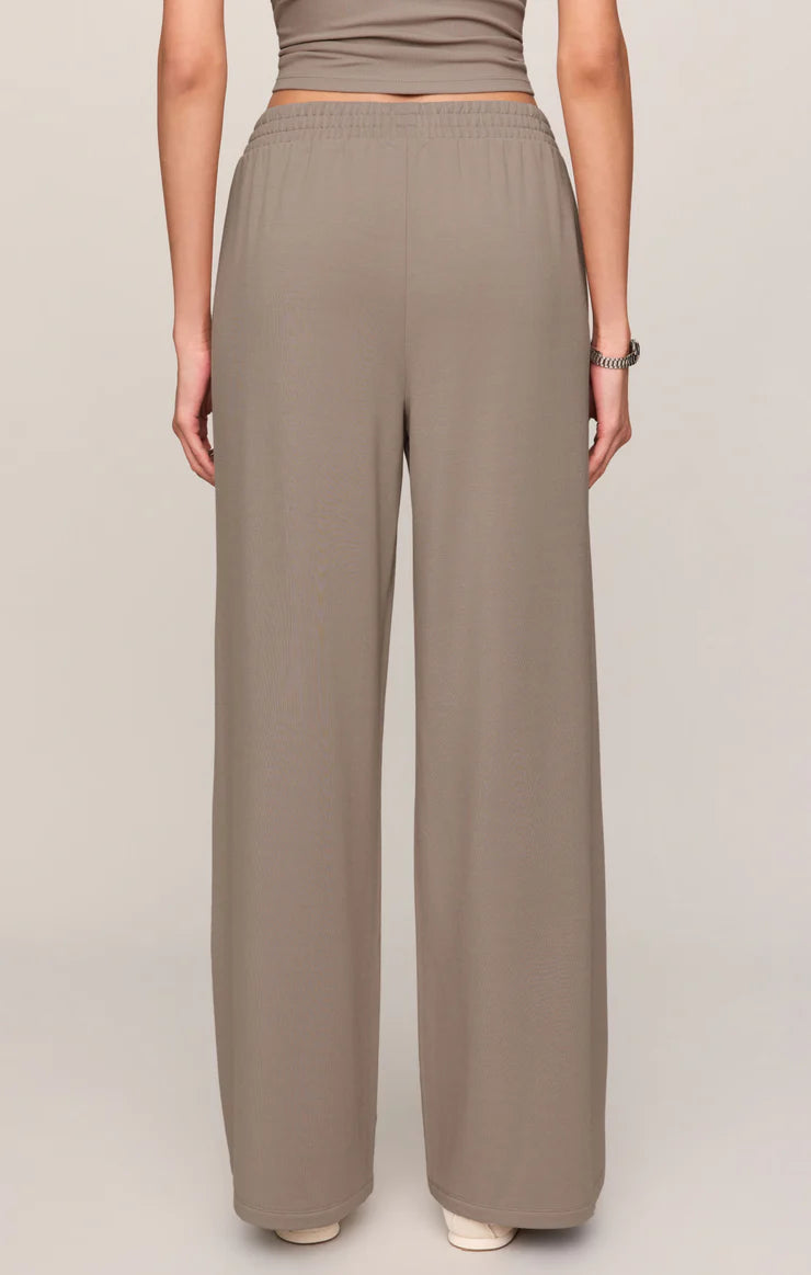 Z SUPPLY In Transit Modal Pants || Wild Mushroom