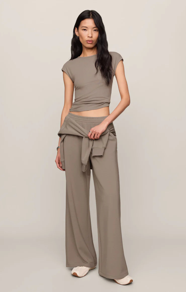Z SUPPLY In Transit Modal Pants || Wild Mushroom