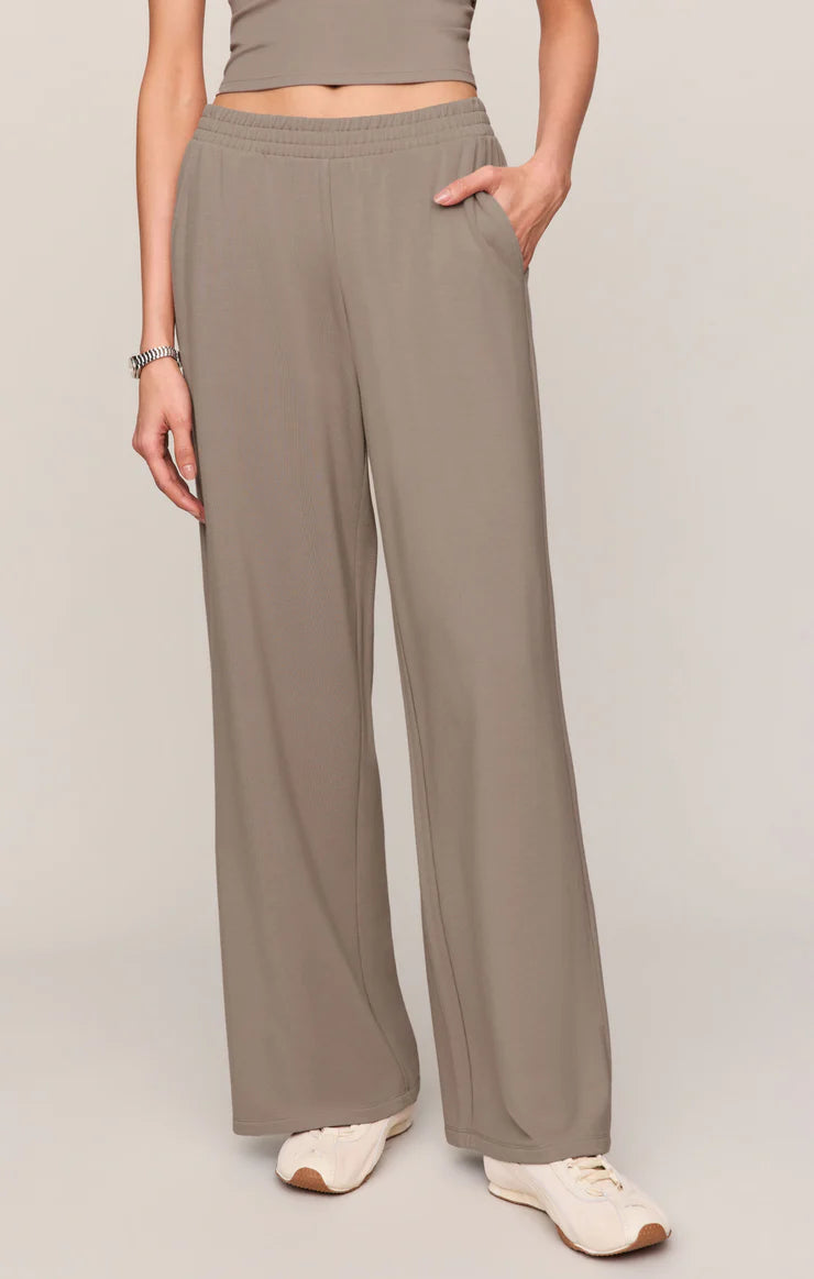 Z SUPPLY In Transit Modal Pants || Wild Mushroom
