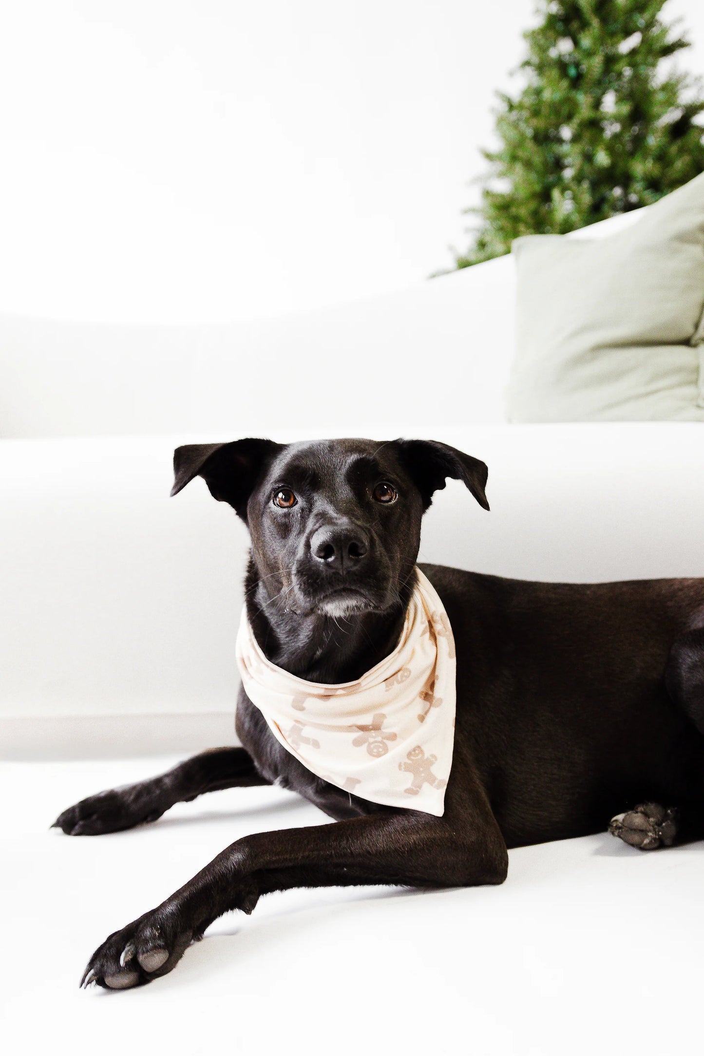 Bambi & Birdie Pet Bandana || Gingerbread