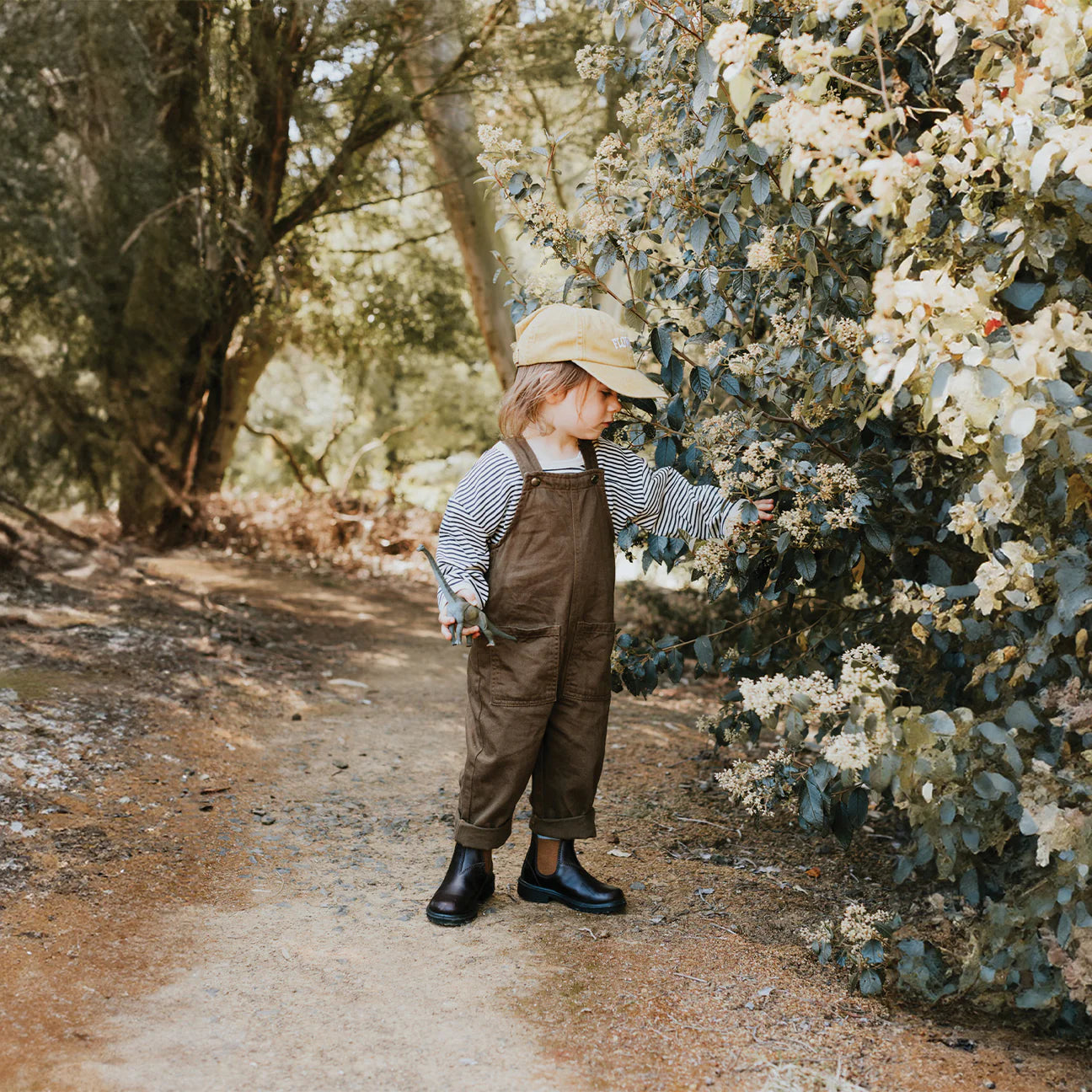 Kids Blundstone Boots || Brown with Toffee Elastic